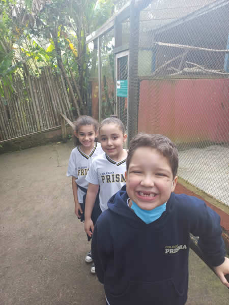 Bicho Mania 2022